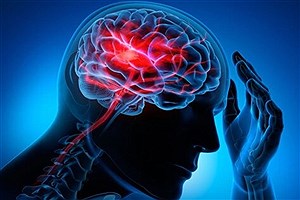 شناسایی نحوه پیوند و ارتباط میان ذهن و بدن در مغز انسان