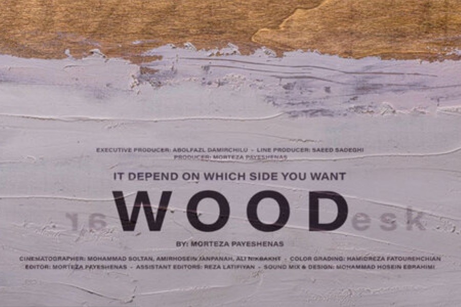 تصویر راه یابی «چوب» به جشنواره فرانسه