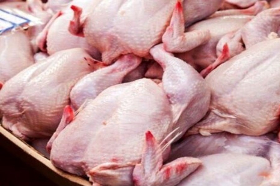 تصویر علت افزایش قیمت گوشت مرغ در بازار