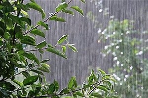 سامانه بارشی در برخی نقاط کشور فعال می شود