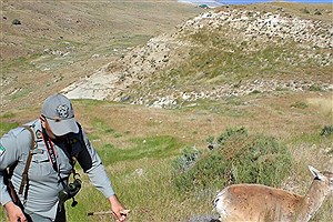 حمله خونین به محیط بان پارک ملی کرخه