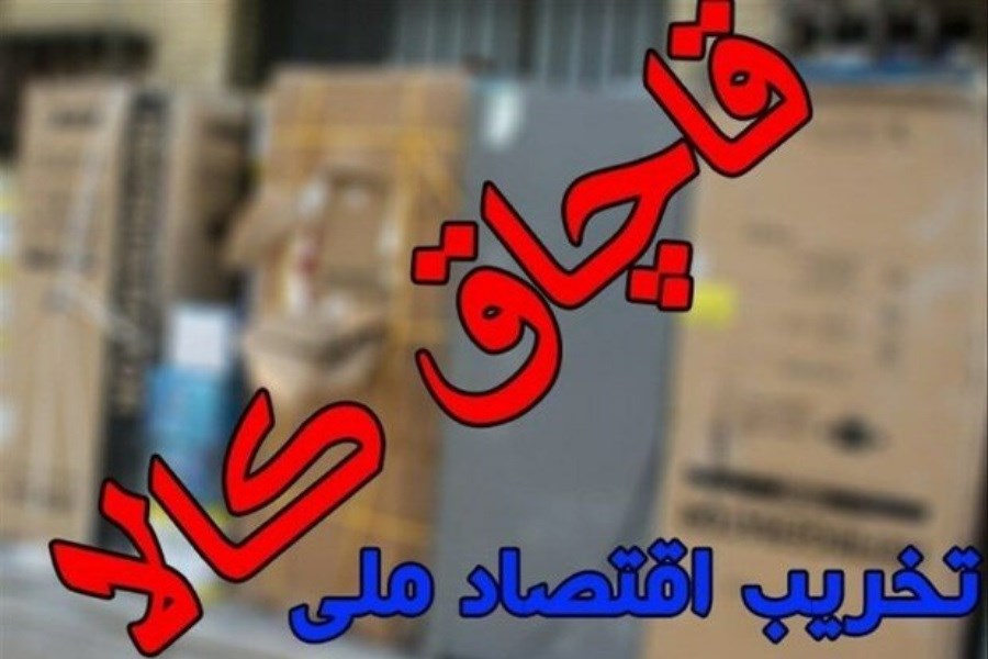 توقیف محموله نهاده‌های دامی قاچاق در دشتستان