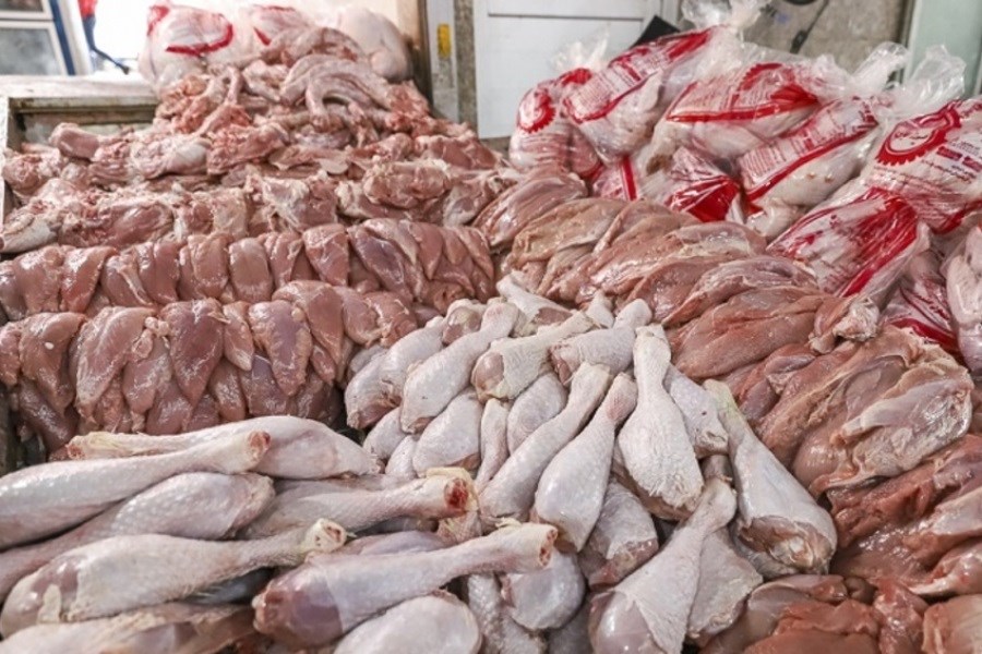 تصویر یزد قطب تولید گوشت بوقلمون کشور