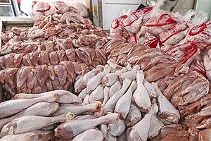 یزد قطب تولید گوشت بوقلمون کشور