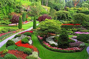 تدوین نخستین طرح جامع فضای سبز پایتخت&#47; تهیه شناسنامه برای ۲۷۵ هکتار از باغات تهران