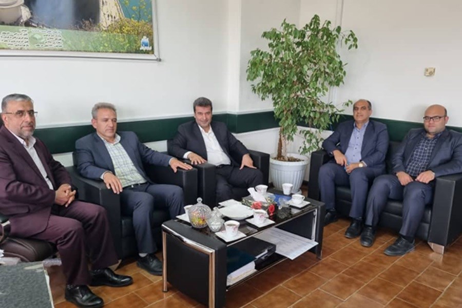 تصویر برگزاری نشست شعبه ساری بیمه دانا با شرکت‌های تابعه وزارت نیرو در مازندران