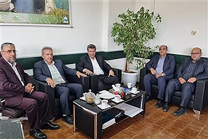 برگزاری نشست شعبه ساری بیمه دانا با شرکت‌های تابعه وزارت نیرو در مازندران