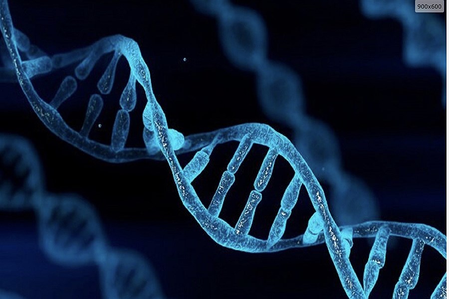 تصویر دیتاسنتر‌های حاوی DNA آغاز به کار می‌کنند