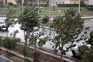 وزش باد شدید از بعدازظهر امروز در تهران