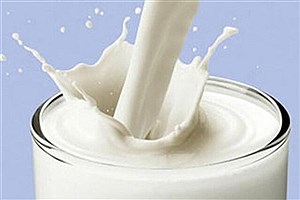 برنامه دولت برای افزایش ۲۰ درصدی مصرف شیر در کشور تا سال ۱۴۰۵