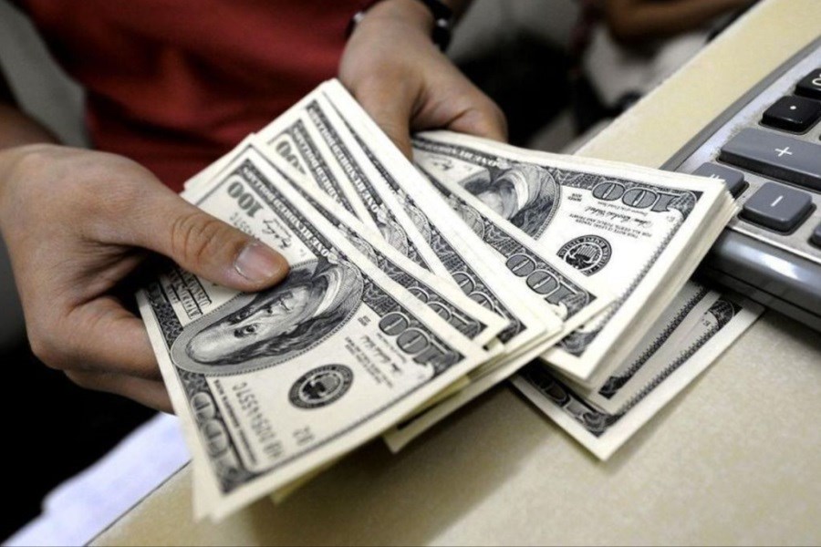 جزئیات حذف دلار از سبد ارزهای مسافرتی به کشورهای همسایه