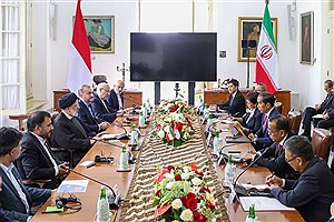 موافقتنامه گمرکی بین ایران و اندونزی امضا شد