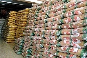 برنج ایرانی ارزان شد&#47; برنج هاشمی و طارم کیلویی چند؟