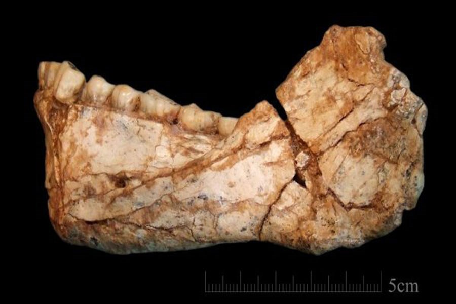 کشف قدیمی ترین فسیل انسان مدرن در مراکش