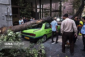 خسارت وزش باد شدید در تهران به روایت تصویر