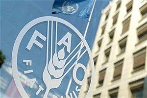 فائو: ایران بزرگ‌ترین صادرکننده لبنیات در آسیا شد