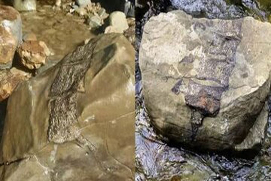 تصویر پیدا شدن بقایای موجودات غول‌پیکر باستانی پس از طوفان+ عکس