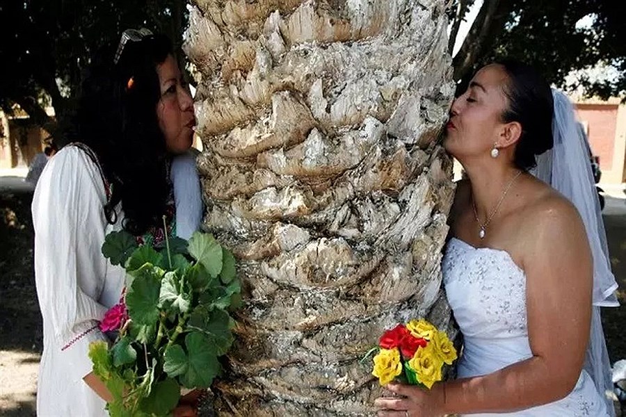تصویر عجیب‌ترین رسوم ازدواج در جهان؛ از ازدواج با درخت موز تا اجبار به نخندیدن!+فیلم