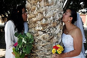 عجیب‌ترین رسوم ازدواج در جهان؛ از ازدواج با درخت موز تا اجبار به نخندیدن!+فیلم