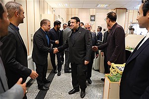 تلاش و برنامه‌ریزی تمامی ارکان اعتباری بانک ملی ایران برای کمک به توسعه استان سمنان