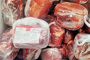 آغاز عرضه گسترده گوشت منجمد گوسفندی در کشور