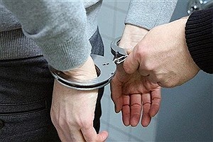 بازداشت ۲ نفر از عوامل اخلال در نظم و امنیت ملی