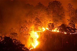 آتش‌سوزی در جنگل‌های مریوان&#47; تداوم اعزام بالگردها به منطقه