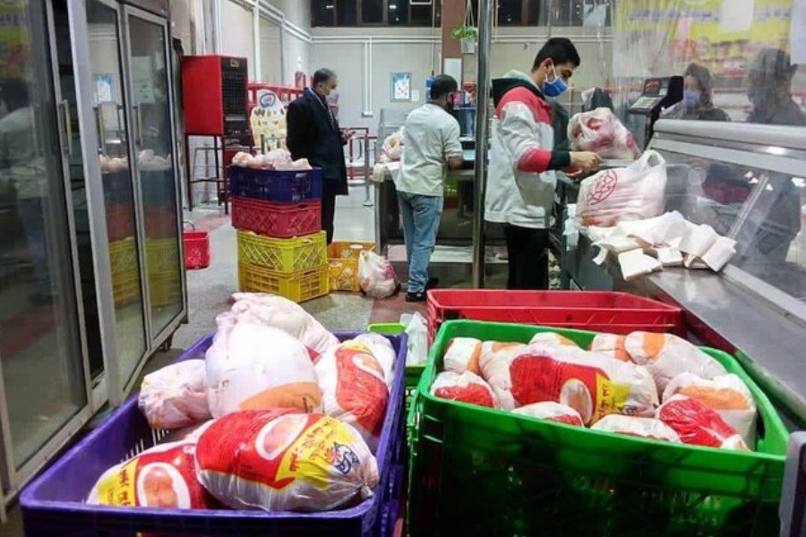 تصویر ۴ اقدامی که بازار مرغ را به ثبات رساند&#47; قیمت جدید مرغ در بازار