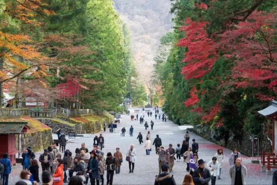 گردشگری ژاپن، ارزان‌ترین در دهه‌های اخیر