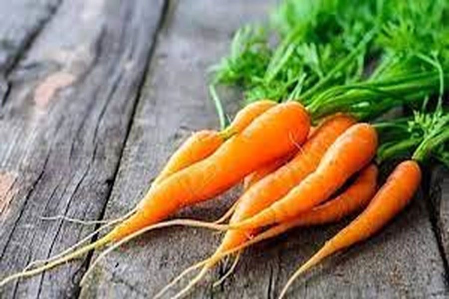 خواص هویج برای سلامتی تخمدان