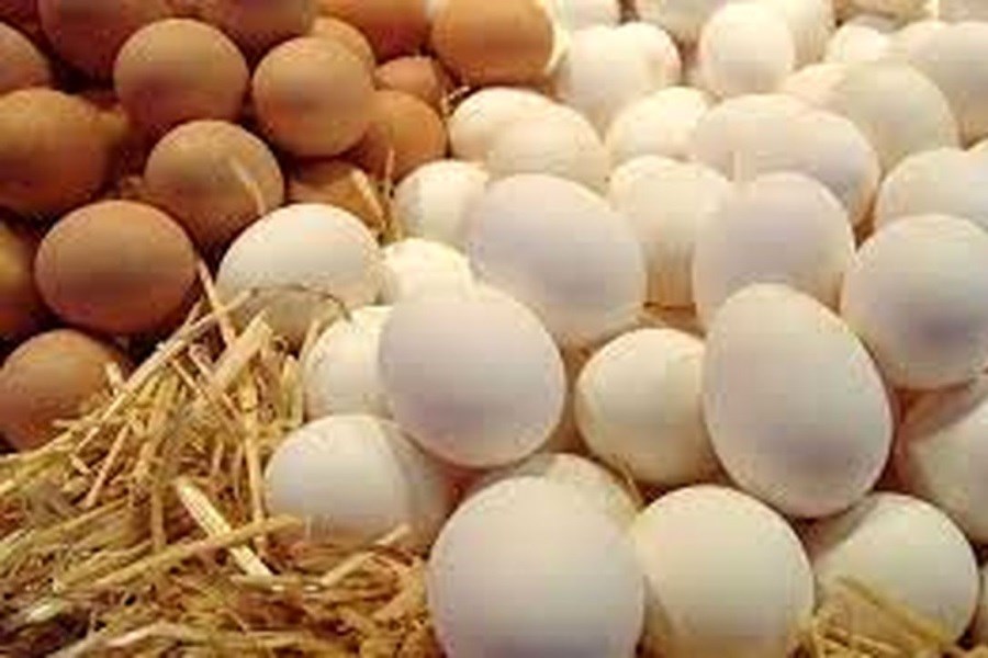 تخم مرغ بسته ای چند شد؟