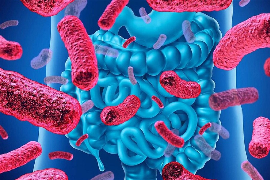 آمادگی وزارت بهداشت در مقابله با احتمال شیوع وبا در پاییز