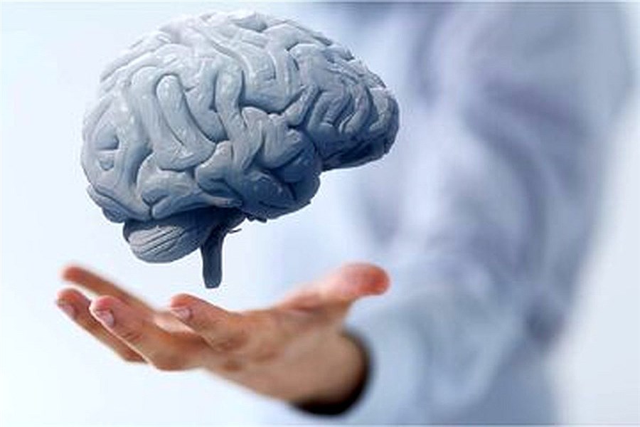 تصویر ۷ عادت مؤثر برای تقویت حافظه در سنین بالا