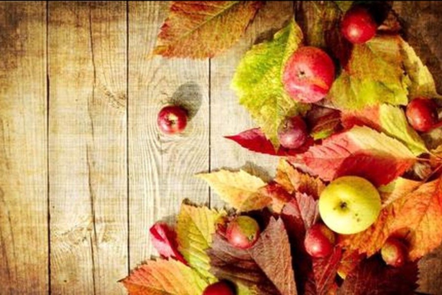 تصویر تست بینایی؛ در کمتر از ۱۰ ثانیه سیب‌های پنهان را پیدا کنید