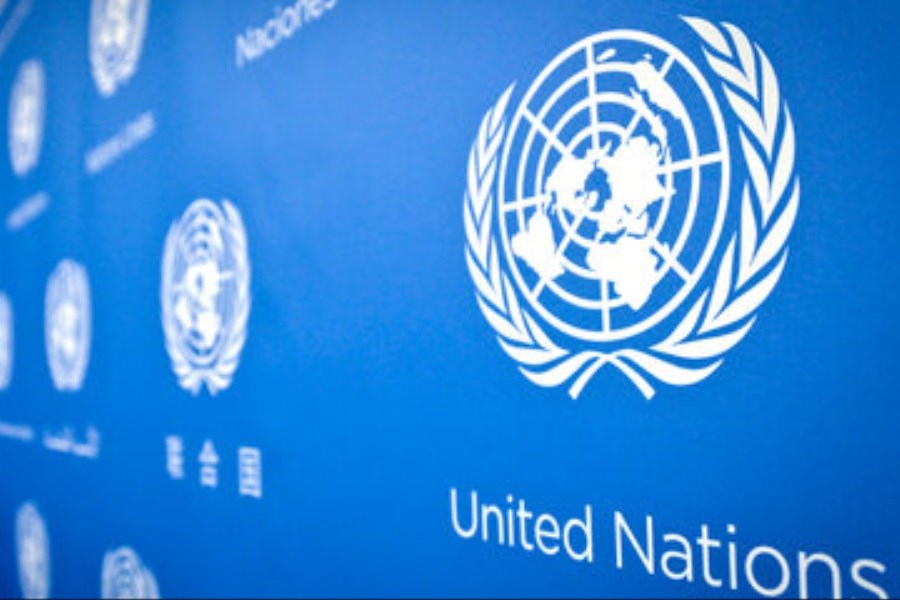 کشته شدن 88 نفر از کارکنان سازمان ملل در غزه