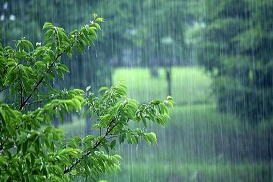 تصویر بارش باران و وزش باد شدید در بیشتر استان‌ها