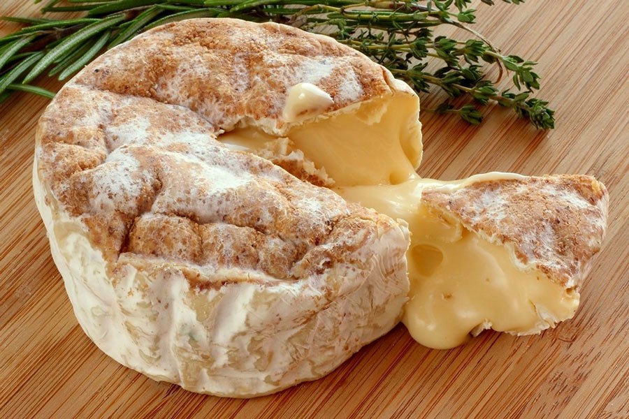 با خوردن این پنیر دیگر آلزایمر نگیرید
