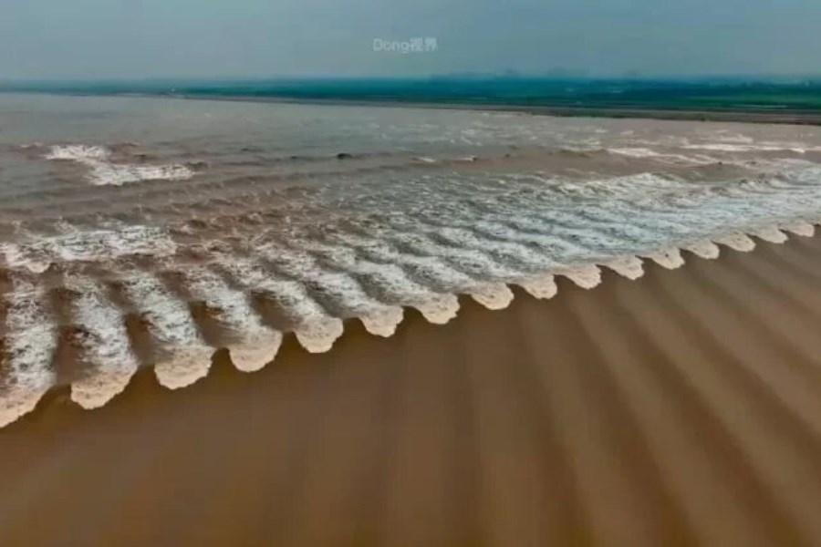 تصویر اسرار امواج شگفت‌انگیز در چین