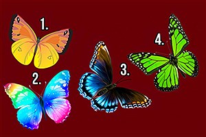 تست روانشناسی: کشف اسرار روح خود با انتخاب پروانه
