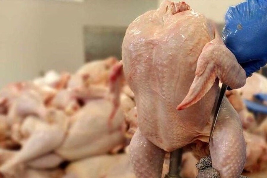 تصویر استان گلستان رتبه اول در تولید گوشت گرم آماده طبخ در کشور