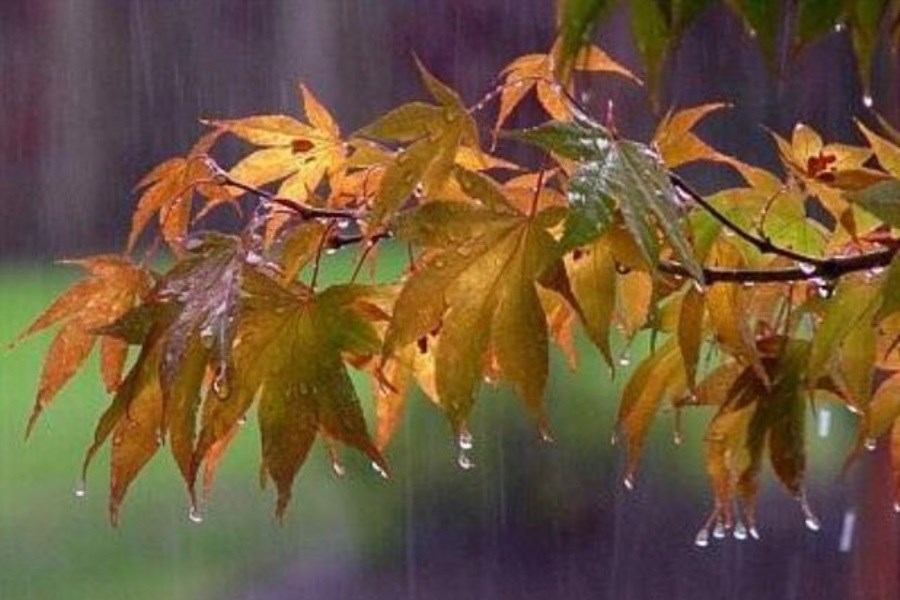 تصویر بارش‌ باران در ۸ استان کشور