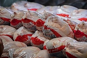 توزیع ۲۲ هزار تن گوشت مرغ گرم در استان قزوین