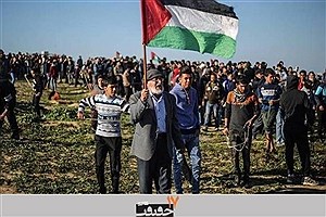 پای «غزه» به جشنواره «سینماحقیقت» باز شد