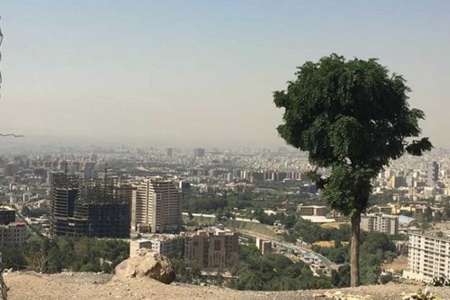 تهران را از این مکان دنج و رویایی ببینید!