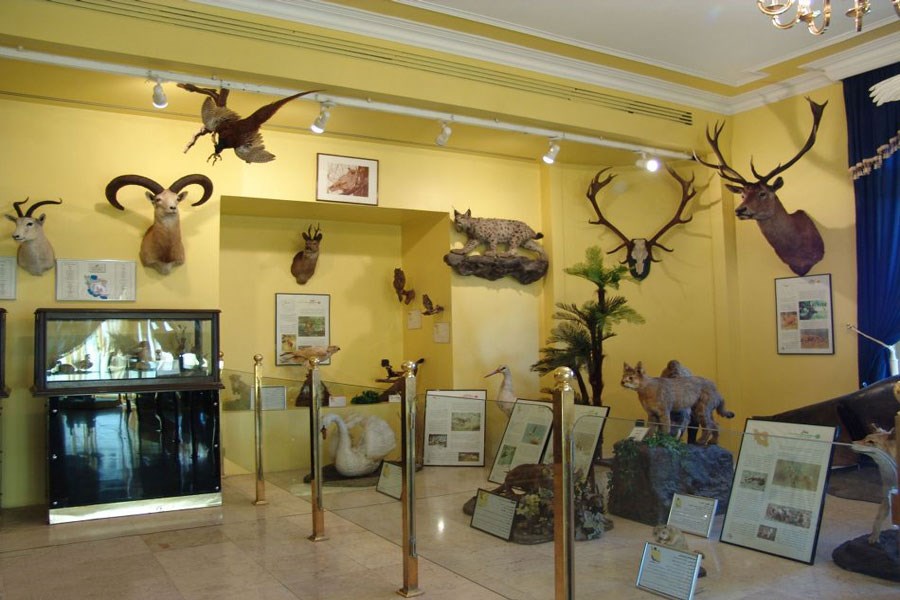تصویر تماشای جانوران وحشی در موزه‌های حیات وحش پایتخت!