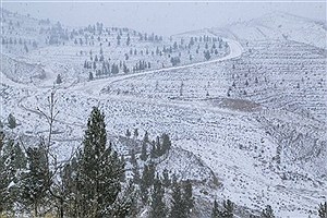 بارش برف در محورهای کوهستانی استان همدان
