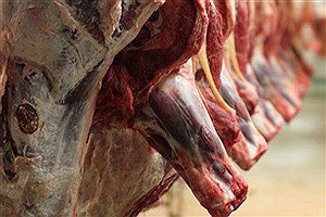 قیمت گوشت وارداتی منجمد کاهش یافت