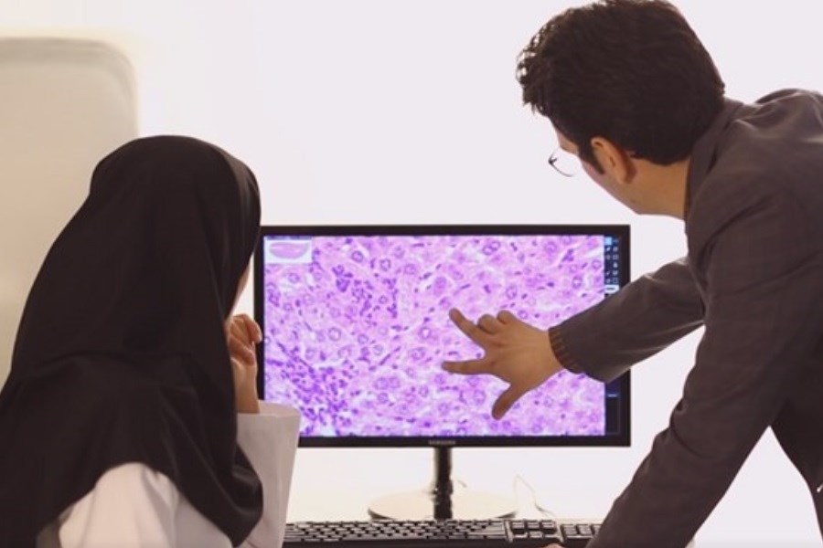 تصویر تشخیص بیماری‌ها با ابزار هوش مصنوعی توسط محققان ایرانی