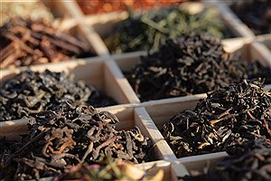 توضیحات جدید وزارت کشاورزی درباره تخلف واردات چای