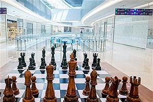 اعلام شرایط و زمان ثبت نام در انتخابات فدراسیون شطرنج